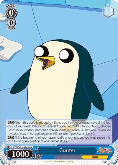 Gunter (SR)