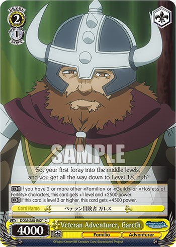 Veteran Adventurer, Gareth