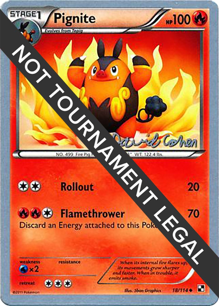 Pignite - 2011 (David Cohen)