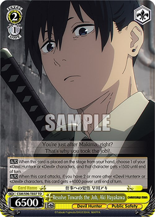 Resolve Towards the Job, Aki Hayakawa