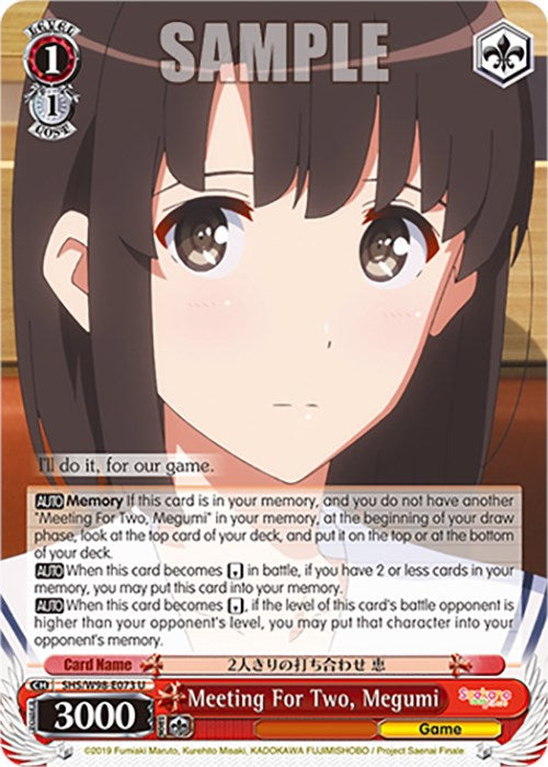 Meeting For Two, Megumi