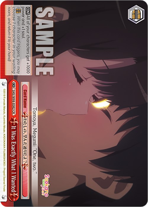 It Was Exactly What I Wanted