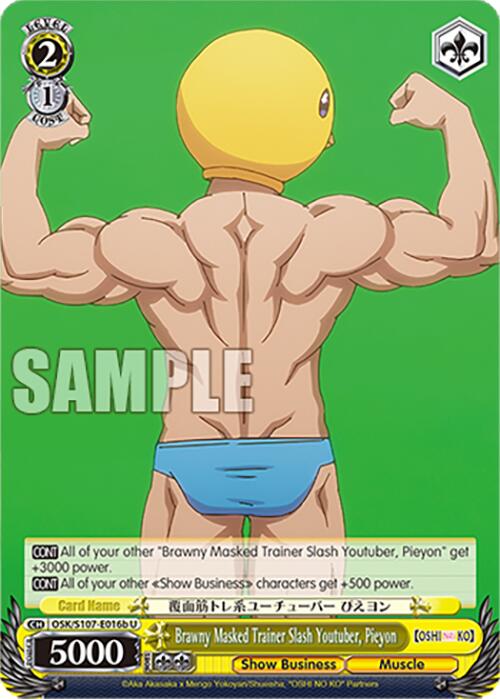 Brawny Masked Trainer Slash Youtuber, Pieyon (B)