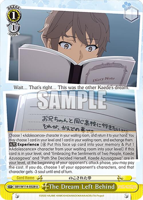 The Dream Left Behind