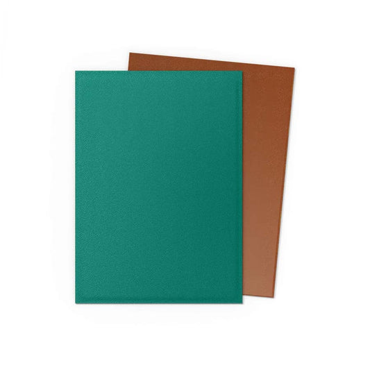 Dragon Shield: Standard 100ct Sleeves - Power & Copper (Dual Matte)