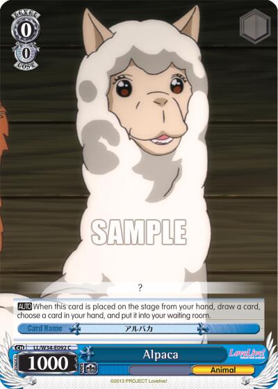 Alpaca