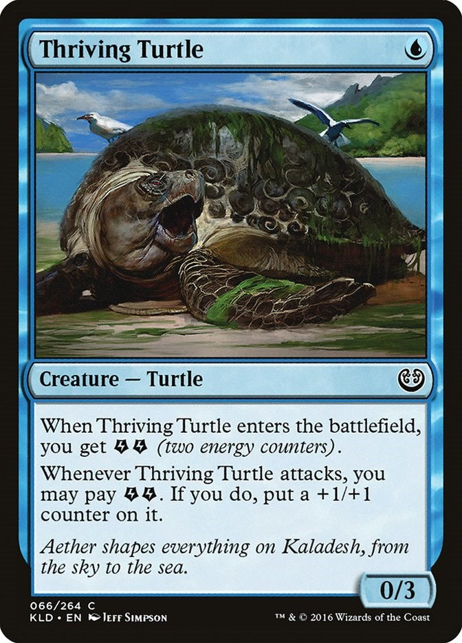 Thriving Turtle [KLD - 66]