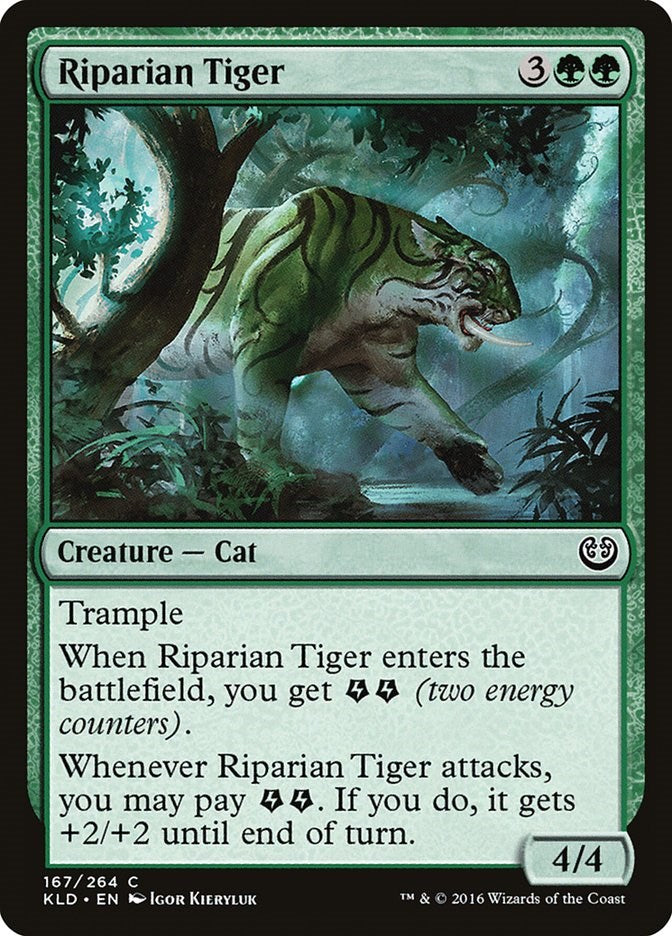 Riparian Tiger [KLD - 167]