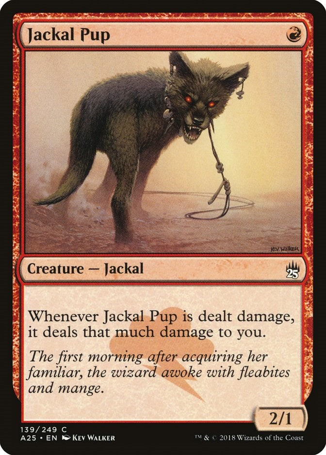 Jackal Pup [A25 - 139]