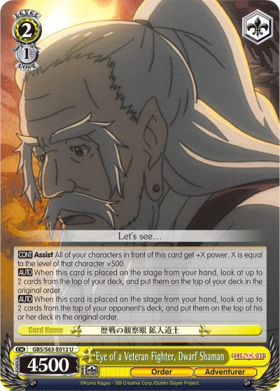 Eye of a Veteran Fighter, Dwarf Shaman