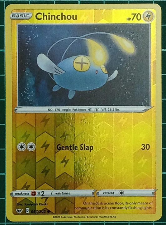 Chinchou (067)