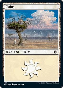 Plains (481) (Foil Etched)
