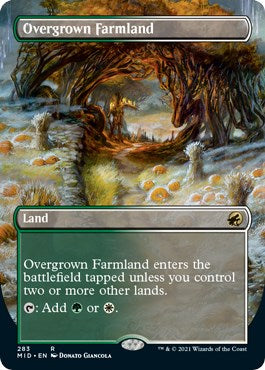 Overgrown Farmland (Borderless) [MID - 283]