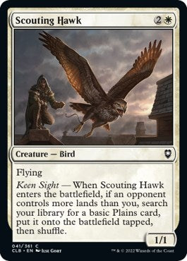 Scouting Hawk [CLB - 41]