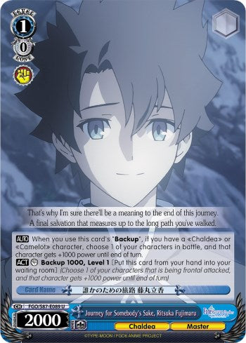 Journey for Somebody's Sake, Ritsuka Fujimaru