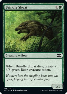 Brindle Shoat [2X2 - 139]