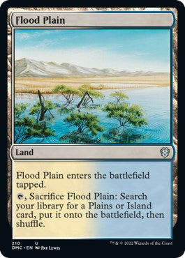 Flood Plain [DMC - 210]