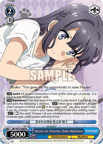 Reasons for Attraction, Shoko Makinohara