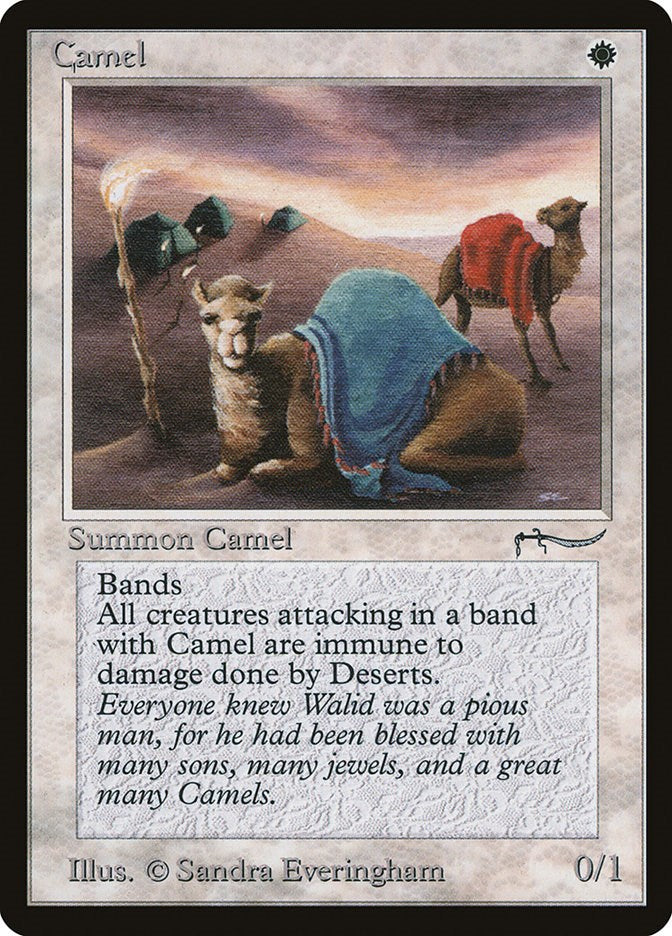 Camel [ARN - N/A]