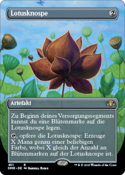 Lotus Blossom (Borderless)