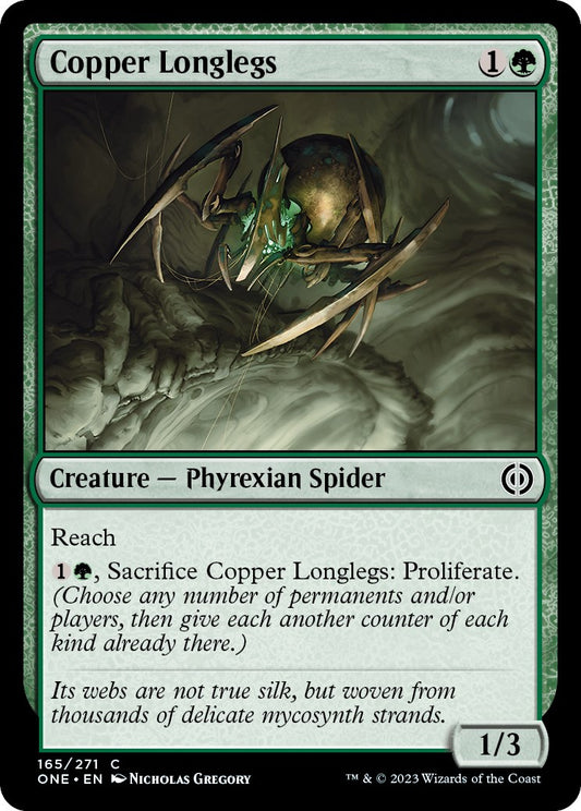 Copper Longlegs [ONE - 165]