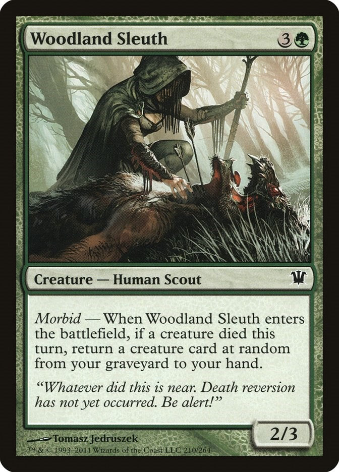 Woodland Sleuth [ISD - 210]