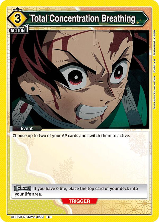 Total Concentration Breathing (029)