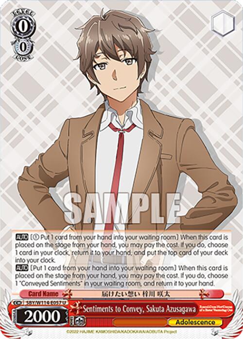 Sentiments to Convey, Sakuta Azusagawa