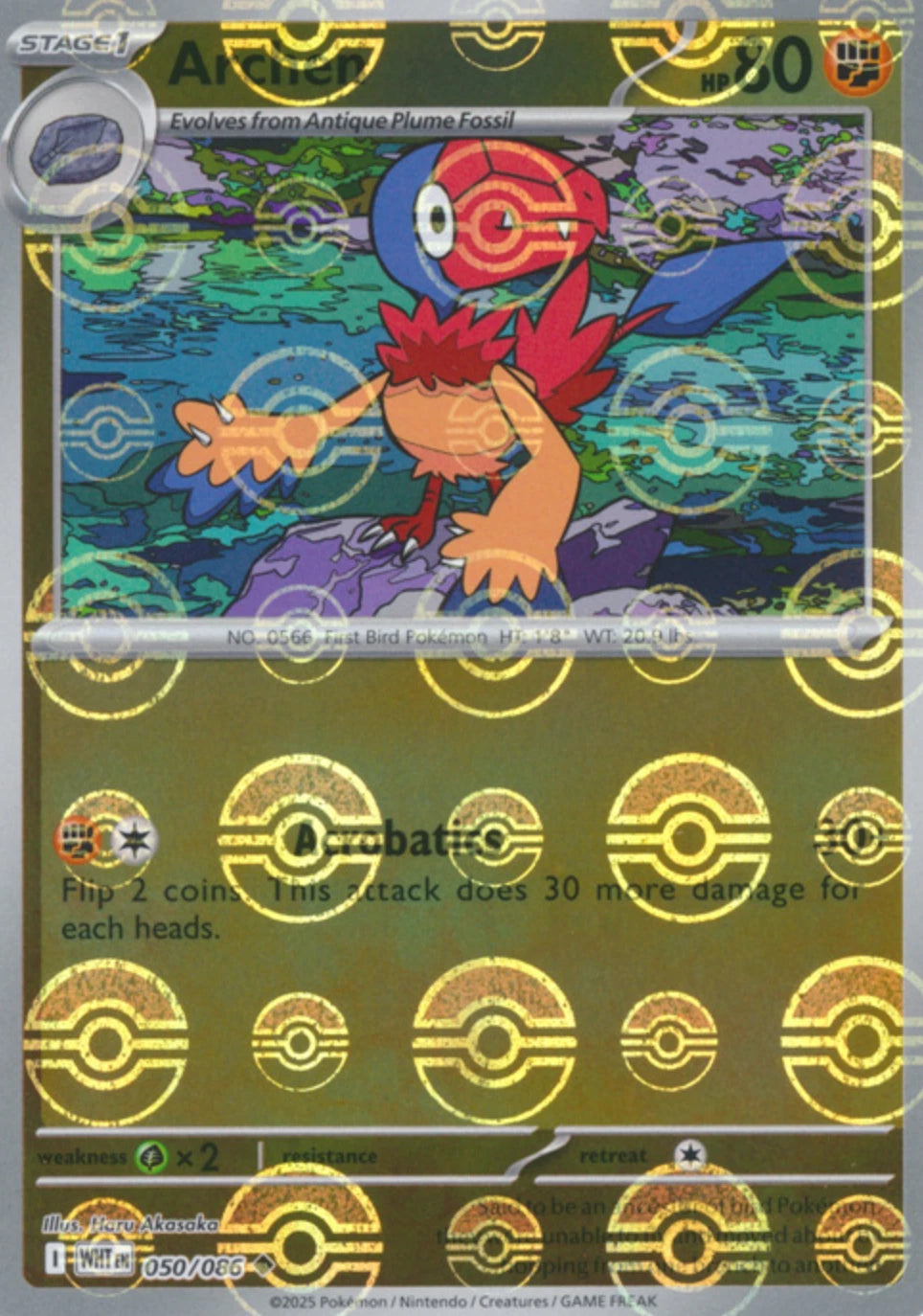 Archen (Poke Ball Pattern)