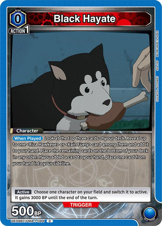 Black Hayate