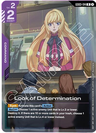 Look of Determination