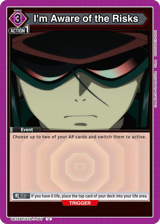 I'm Aware of the Risks