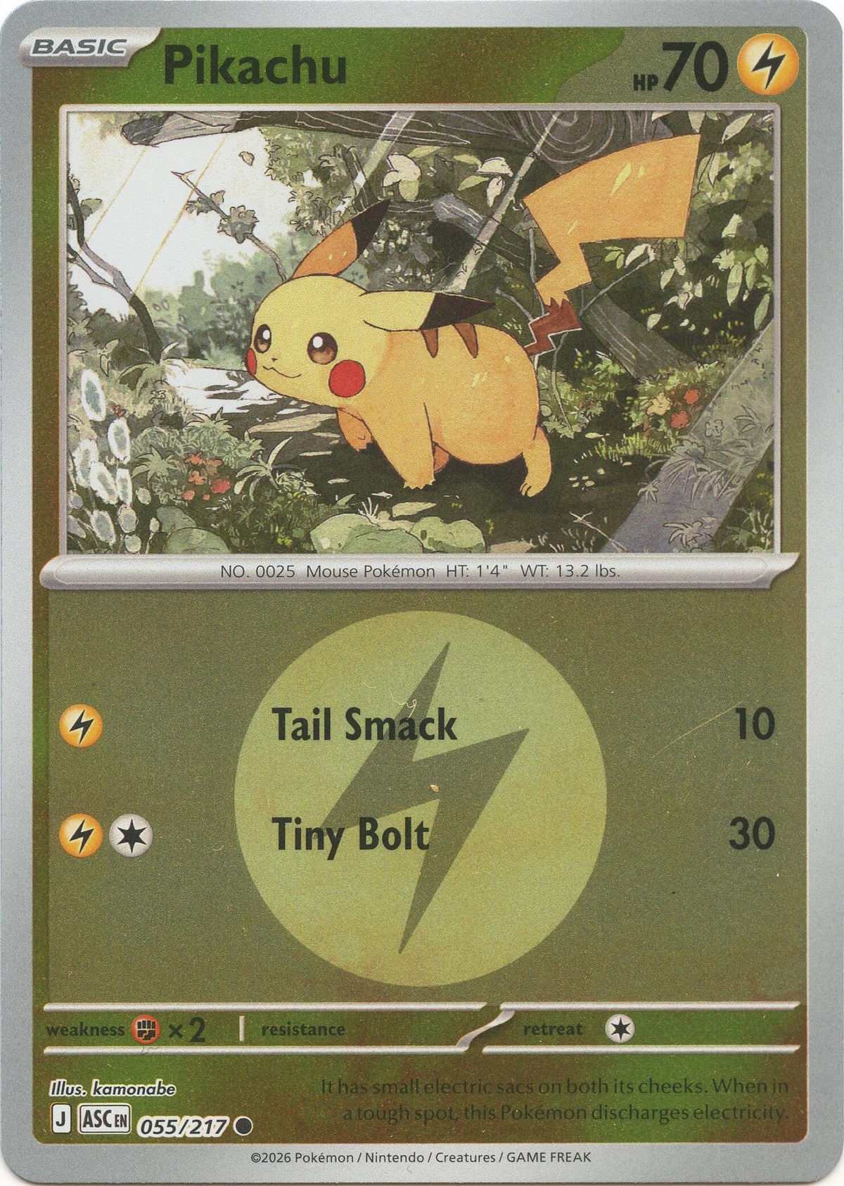 Pikachu (Energy Symbol Pattern)