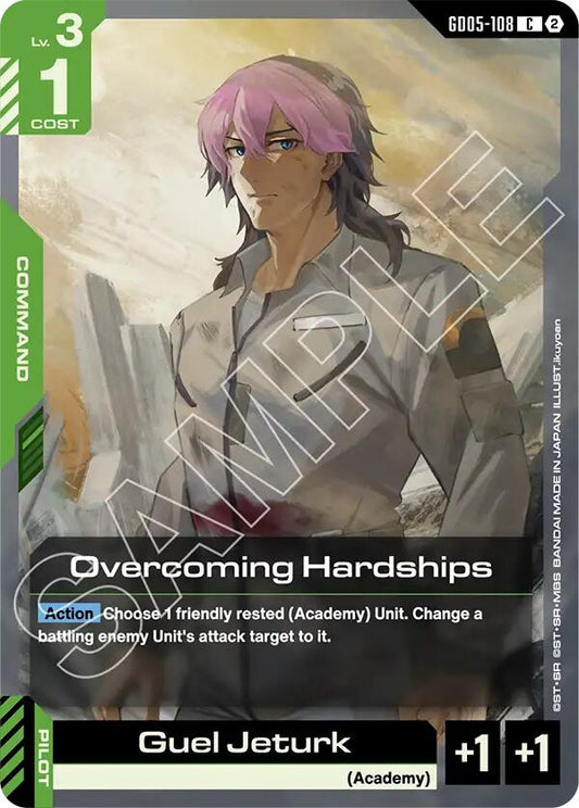 Overcoming Hardships