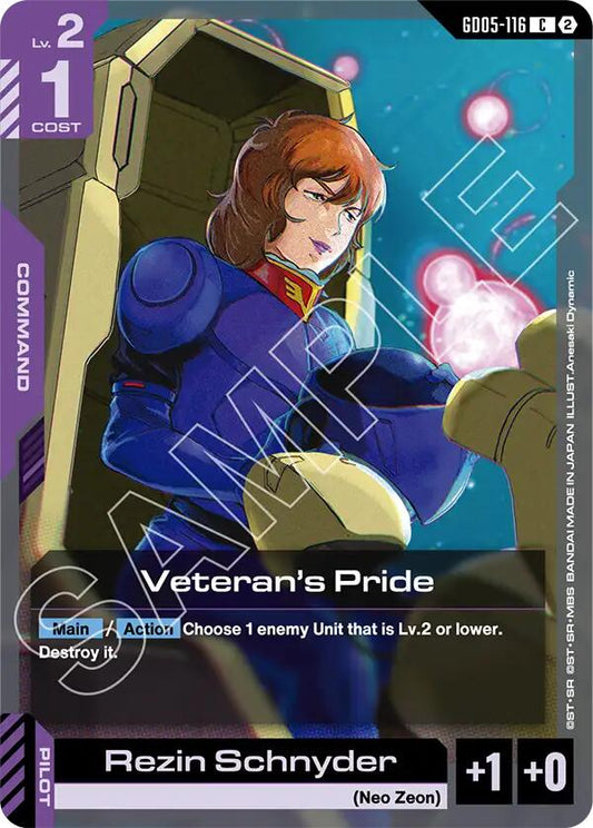 Veteran's Pride