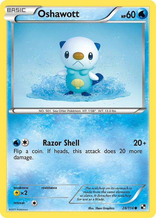 Oshawott (28)