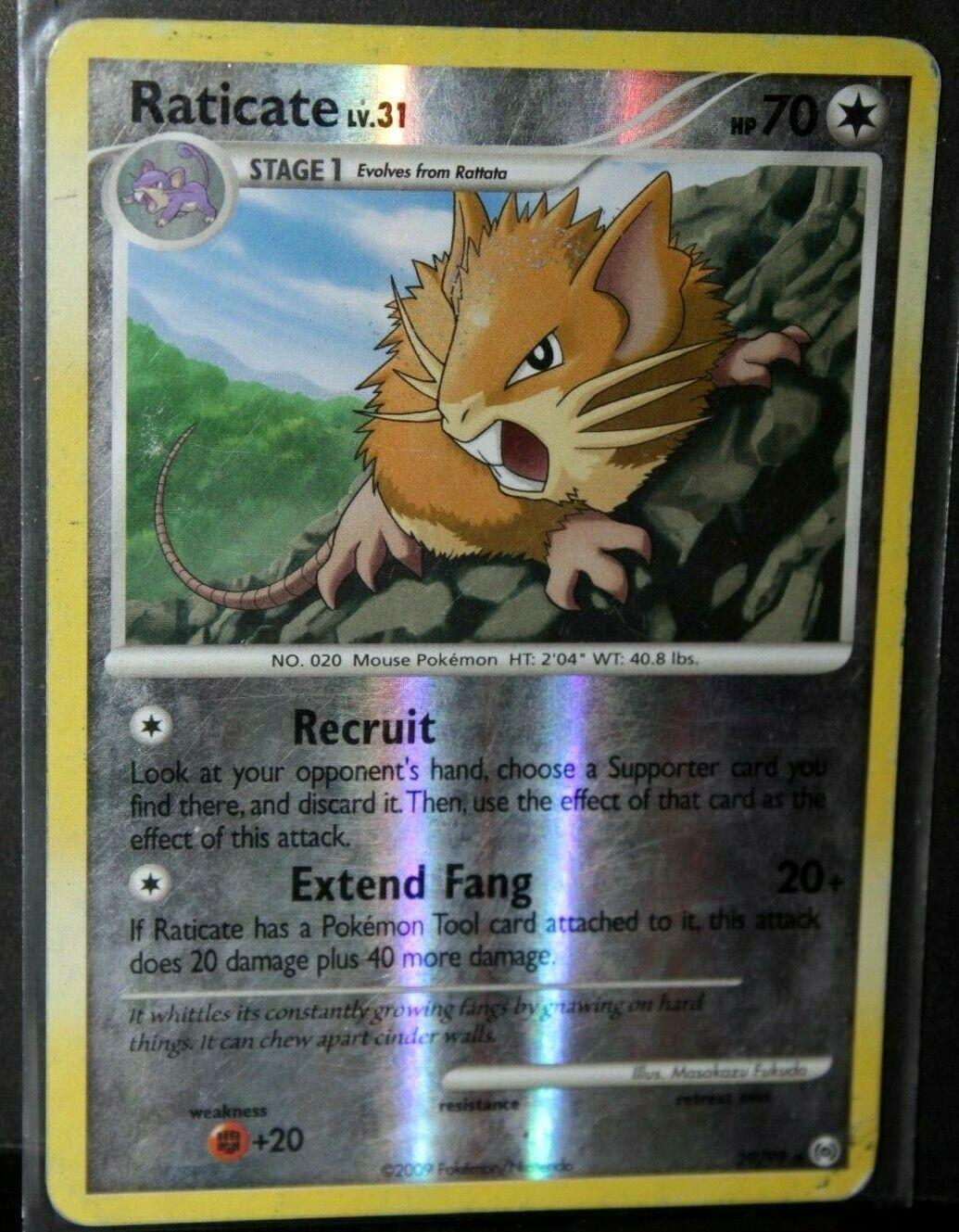 Raticate