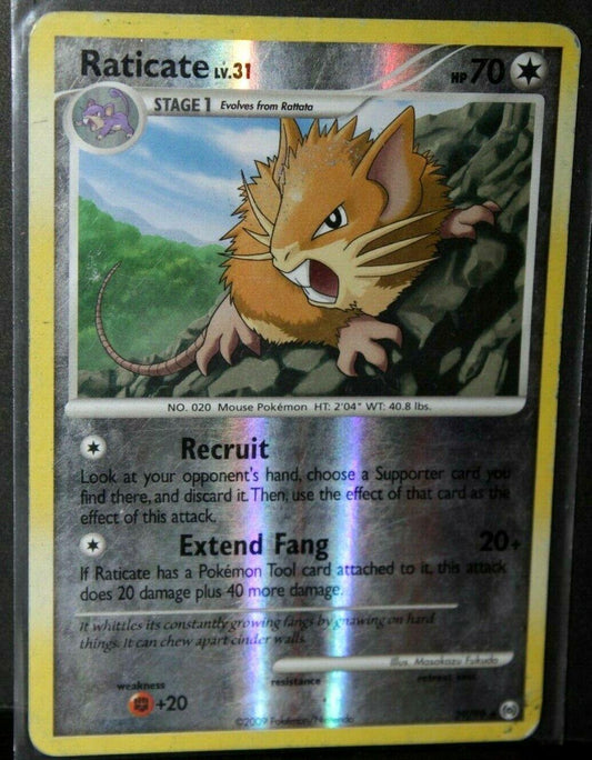 Raticate