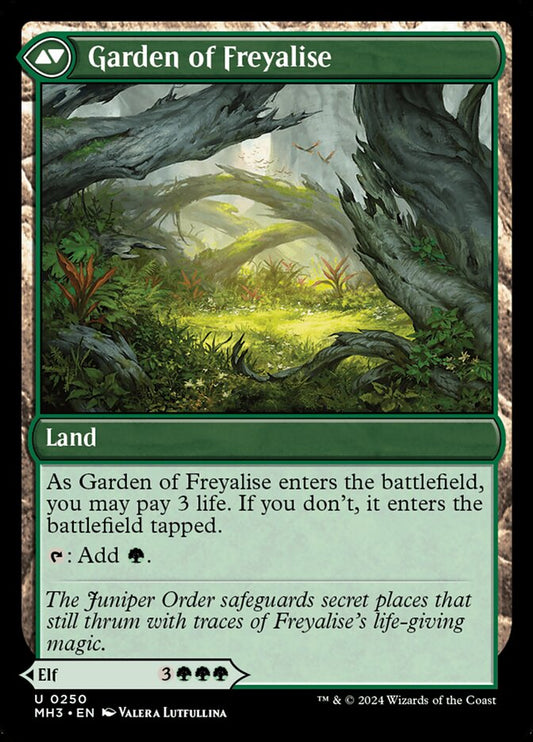 Disciple of Freyalise (Back)