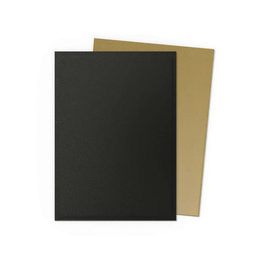 Dragon Shield: Standard 100ct Sleeves - Black & Gold (Dual Matte)